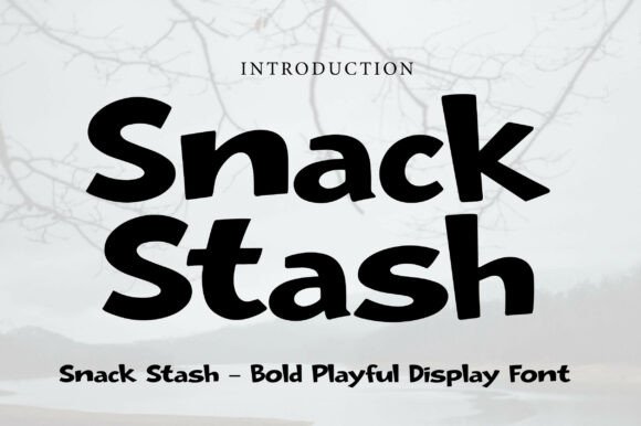 Snack Stash: A Playful Display Font for Bold Creations